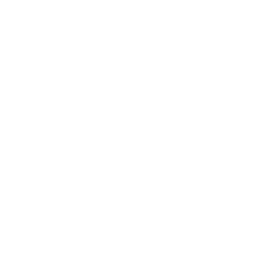 Petrochemical Industry